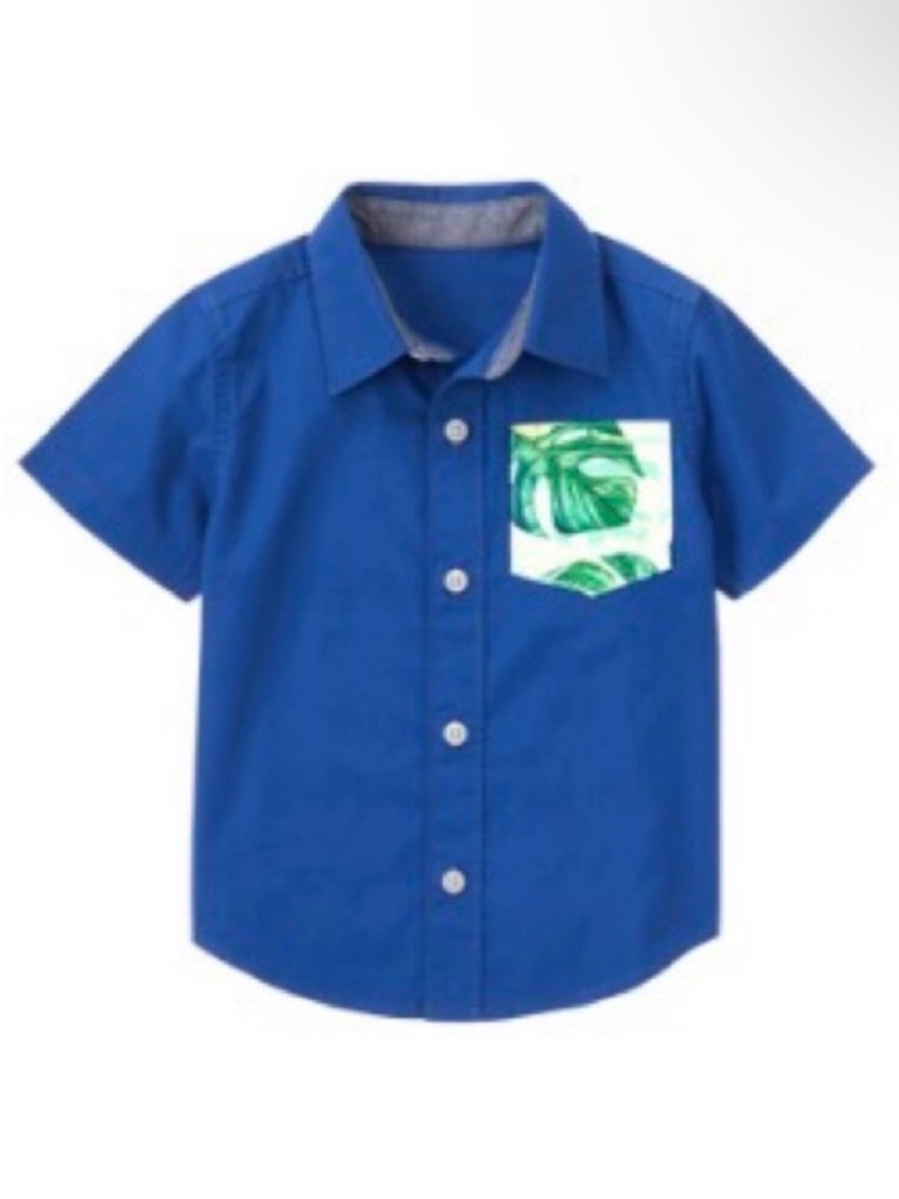 Gymboree Boys’ ‘Safari Ranger’ 4-piece Shorts Set - Picture 6 of 15